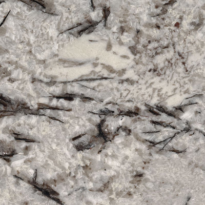 Delicatus White