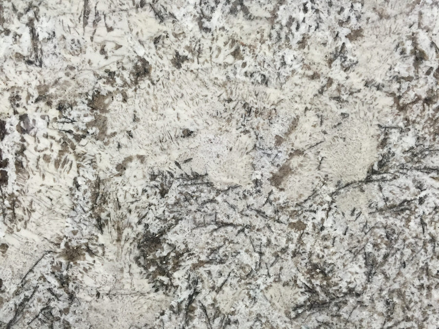 close-up