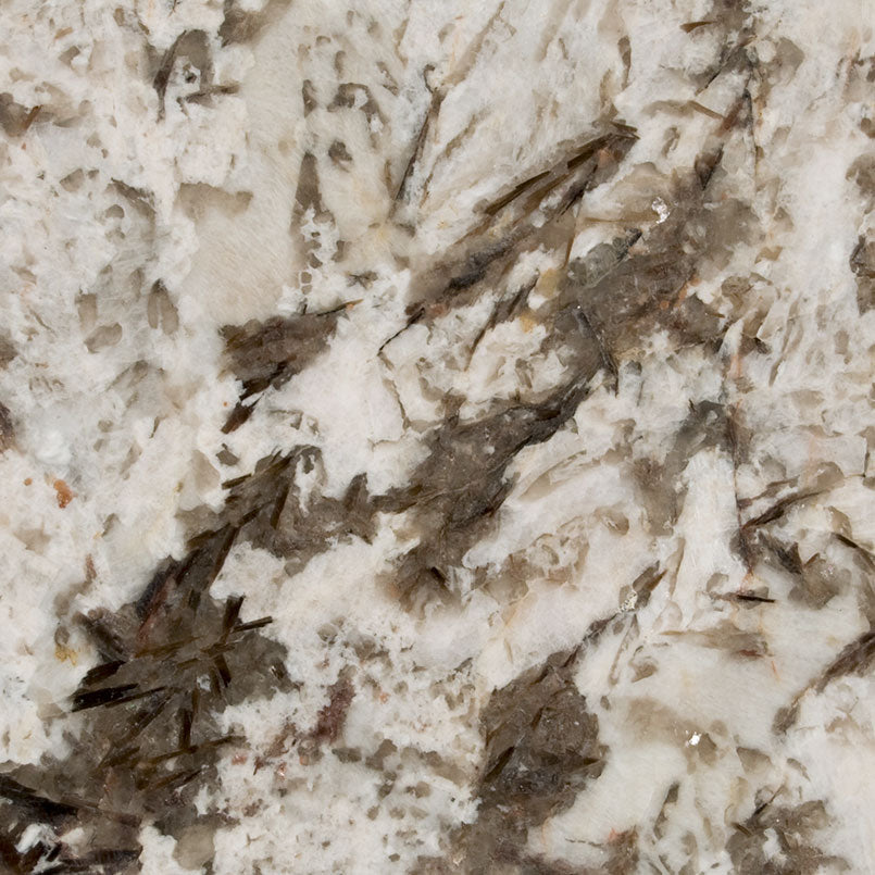 Bianco Antico Granite countertop slab detail
