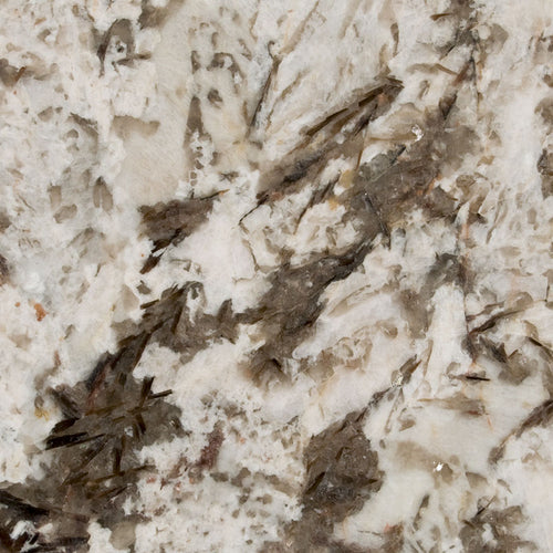 close-up
