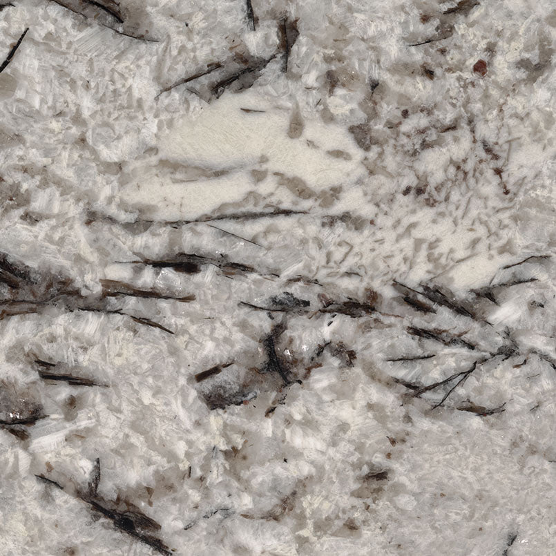 Delicatus White Granite countertop slab detail